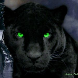 Meet your Posher, Judy